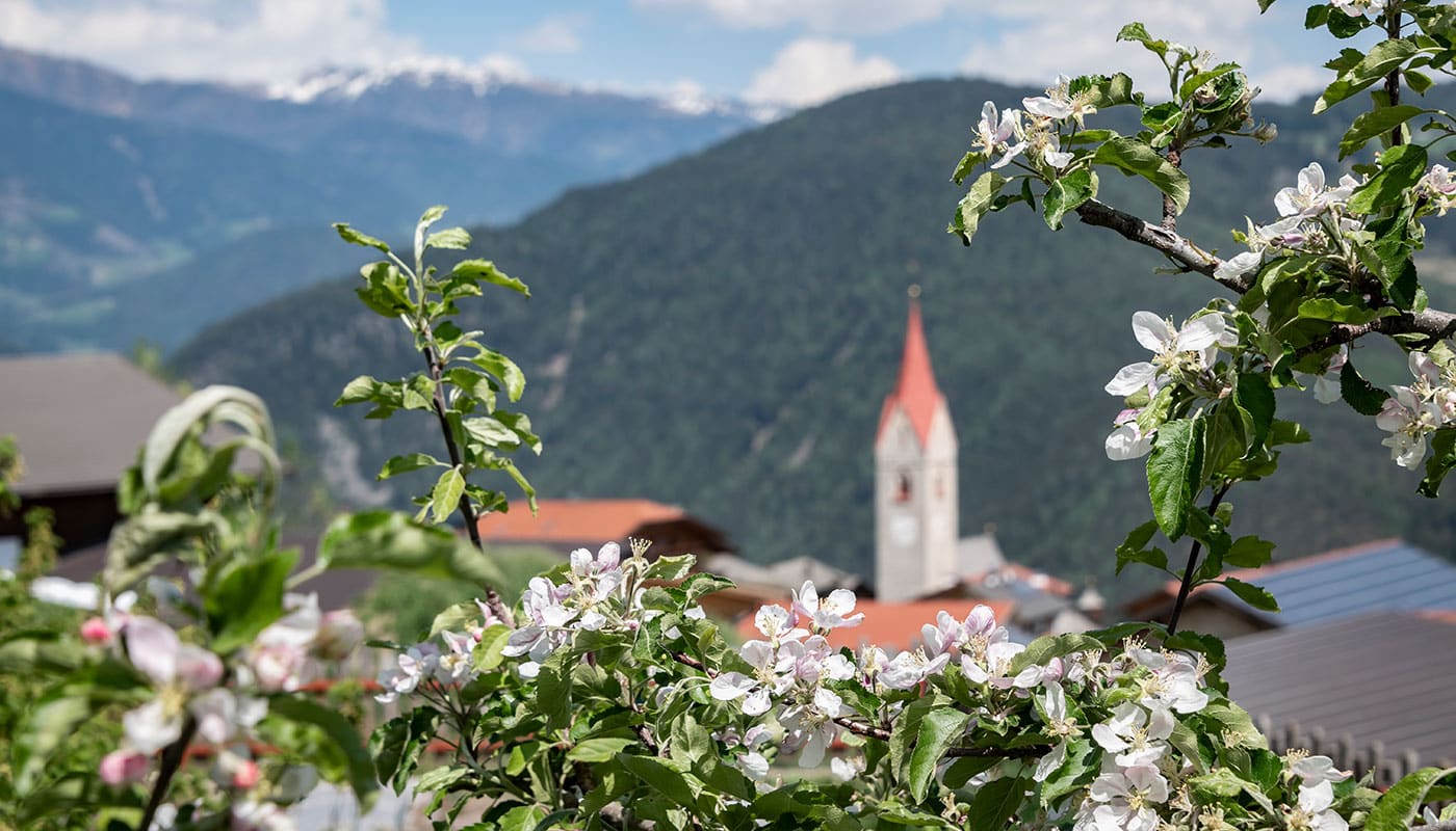 Fruehlingserwachen